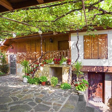 Villa Хаджикольовата Къща Medven Esterno foto