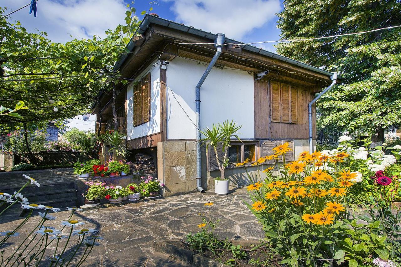 Villa Хаджикольовата Къща Medven Esterno foto